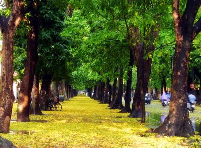 vé máy bay đi Hà Nội