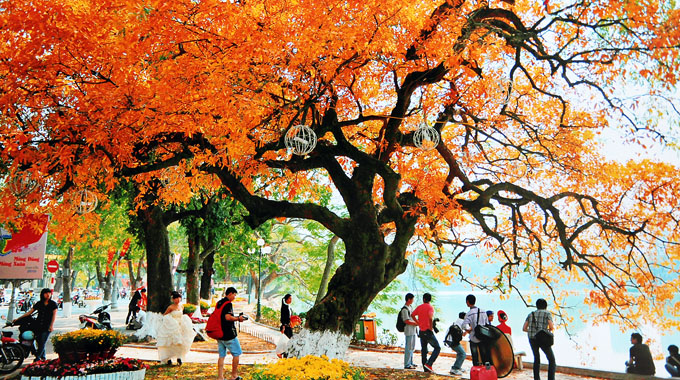 vé máy bay đi Hà Nội
