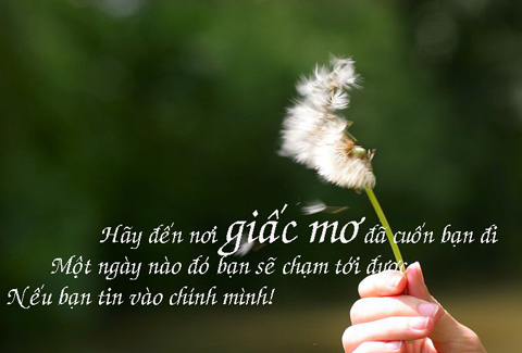 Trong quá trình tìm việc nên chọn con tim hay là nghe lí trí Trong qua trinh tim viec nen chon con tin hay nghe li tri