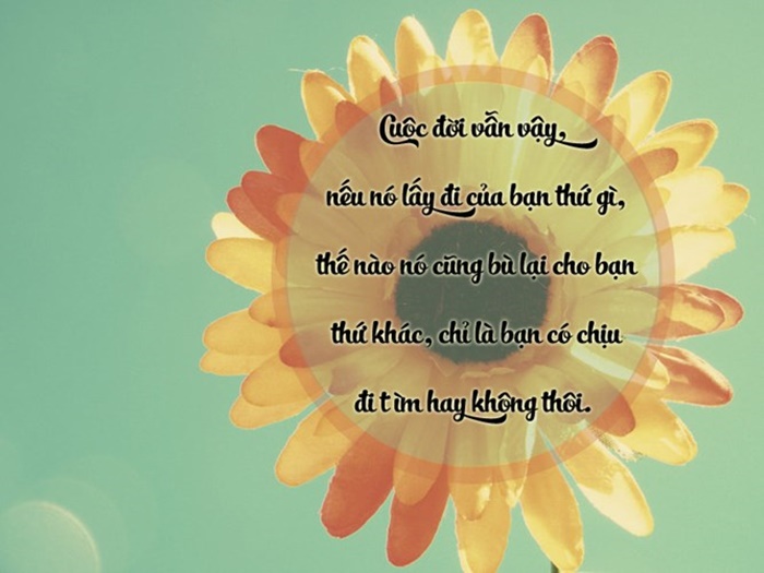Top 5 danh ngôn giúp bạn thành công trên con đường lập nghiệp Top 5 danh ngon giup ban thanh cong tren con duong lap nghiep