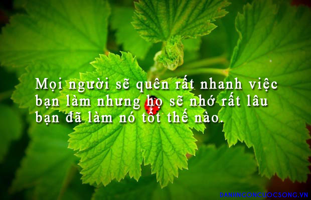 Top 5 danh ngôn giúp bạn thành công trên con đường lập nghiệp Top 5 danh ngon giup ban thanh cong tren con duong lap nghiep